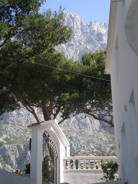 Panorama